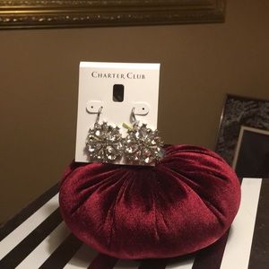 NWT Charter Club Silver Earrings